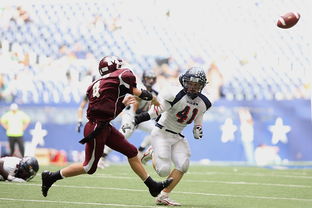 皮特·斯图斯：南非羚羊队的防守核心，一直稳定发挥